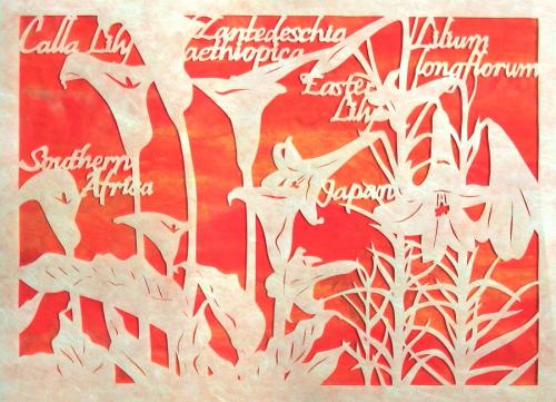 Cultivated Immigrants