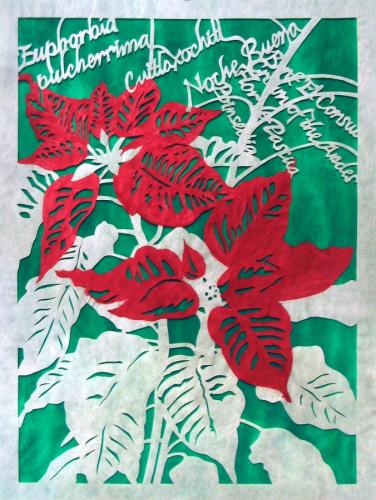 From Minister Poinsette