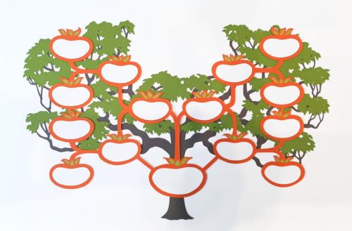 Persimmon Family Tree